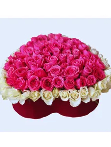 Congratulations