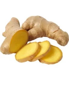 Ginger