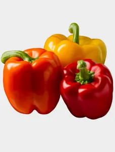 Fresh Yellow/Orange Sweet Pepper - 1 Kg