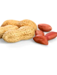 Groundnut