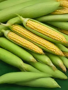 Baby Sweet Corn