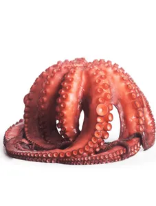 Octopus/ Kg