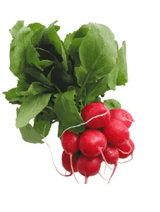 Red Radish - 1kg