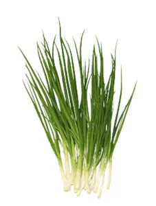 Onion Spring - 1kg